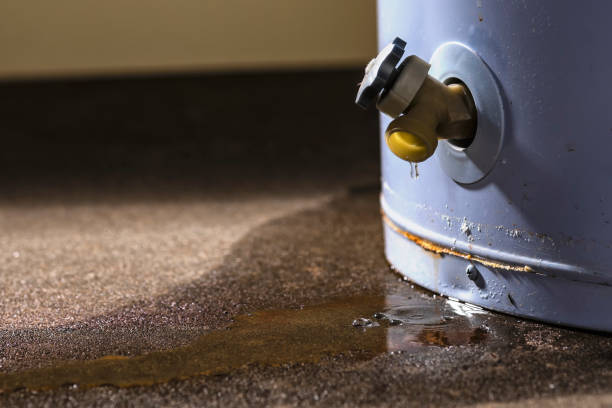 Best Ceiling water damage repair  in Cloverly, MD