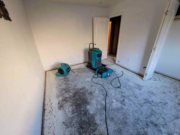 Best Commercial water damage restoration  in Cloverly, MD