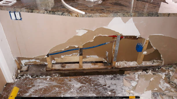 Best Water damage cleanup near me  in Cloverly, MD