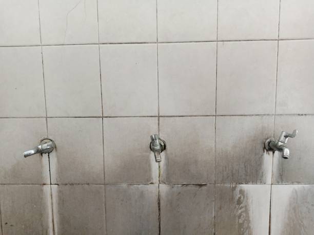 Best Water damage contractors near me  in Cloverly, MD
