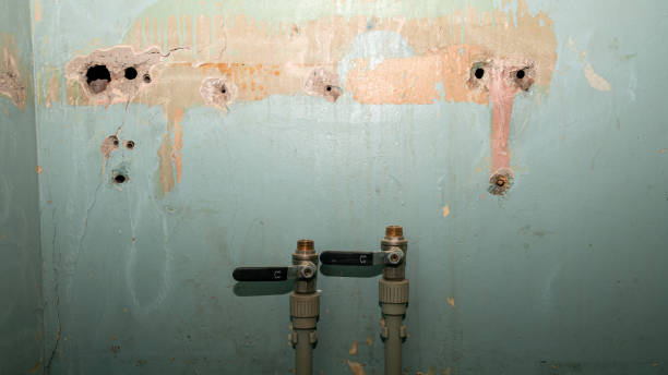  Cloverly, MD Water damage restoration Pros