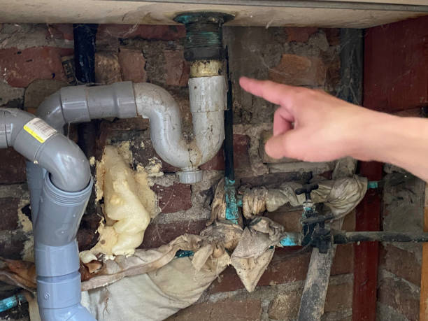 Best Emergency water extraction  in Cloverly, MD