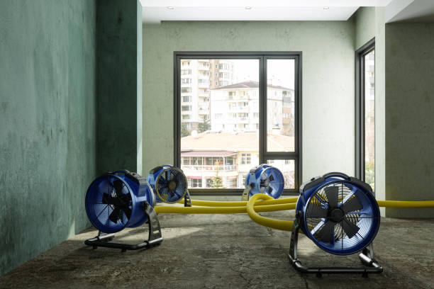 Best Sewage cleanup and water damage restoration  in Cloverly, MD